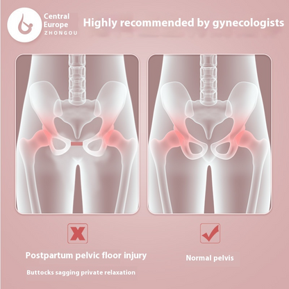 Pelvic Floor Muscle Trainer